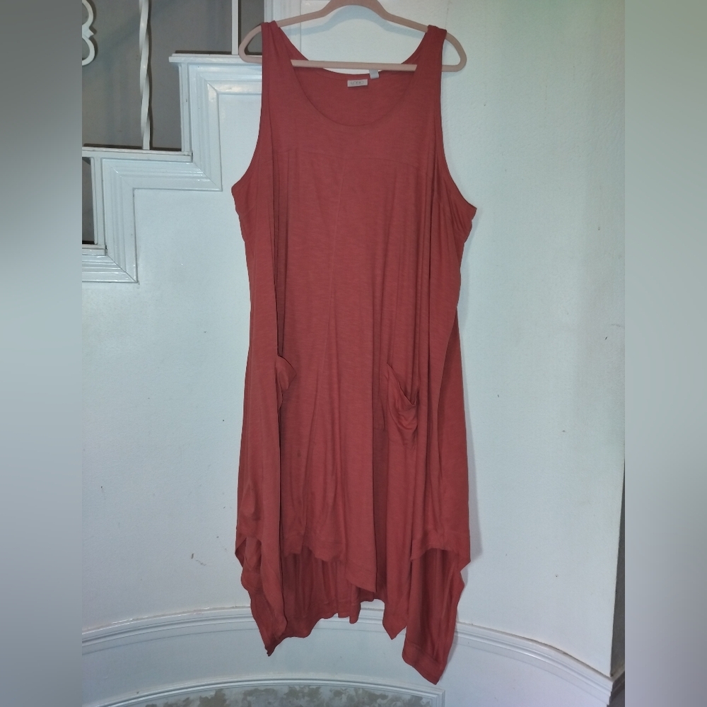 Sleeveless Rust Dress with Pockets (LAST CALL & LAST $ DROP)